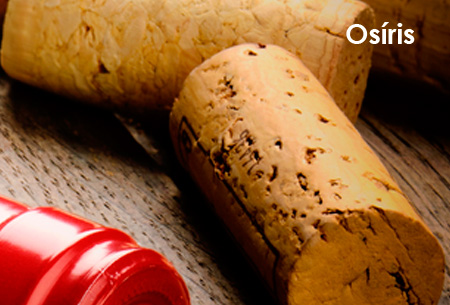 SELEÇÃO OSÍRIS | DEZEMBRO