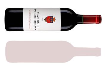 Seleção Baco | Junho 2020