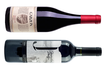 Seleção Baco | Novembro 2020