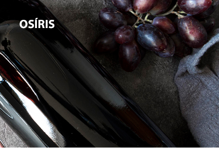 Seleção Osíris | Dezembro 2020